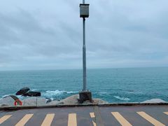 -广东惠东海龟国家级自然保护区