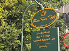 -Fern Forest Cafe