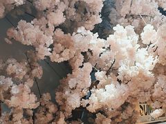 -牛也烧肉(摩尔城店)
