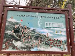 -北京鹫峰国家森林公园