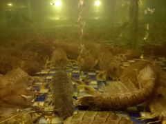 -顺德了能馆(虎门店)