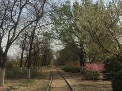 -永定河休闲森林公园