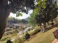 -东莞植物园