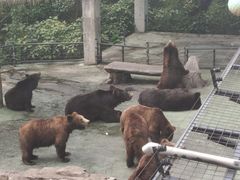 -深圳野生动物园