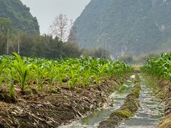 -明仕田园