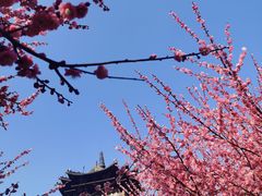 -杭州半山国家森林公园