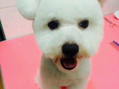 -喵宠乐园·撸猫互动·猫舍