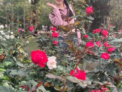 -人民公园(罗湖区)