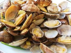 -山东八大碗山东老字号