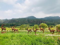 -塞罕坝国家级自然保护区