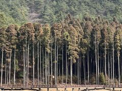-明月山风景名胜区