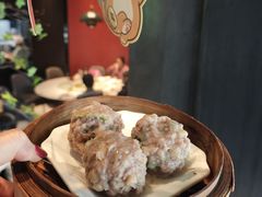 -新兴·金羊座·粤菜点心(乐峰店)
