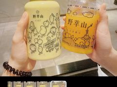 -野萃山·潮汕厚果汁(十亩地店)