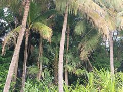 -深圳湾公园(南山区)