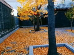 -长安寺