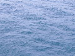 -海堤纪念公园