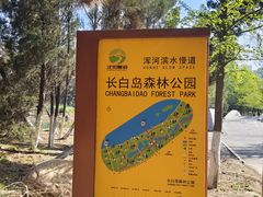 -长白岛森林公园