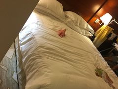 -东京希尔顿酒店