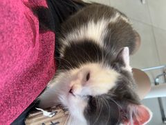 -怪兽屋·羊驼·猫咖·狗咖(俊华广场店)