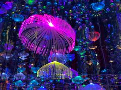 -成都梵高星空艺术馆(春熙路旗舰店)