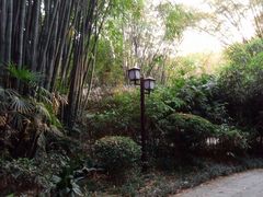 -望江楼公园