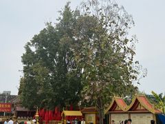 -西双版纳总佛寺