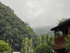-石台牯牛降景区