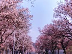 -吉林大学(南岭校区)