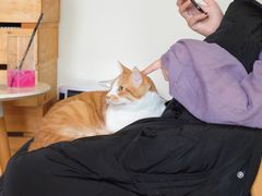 -猫咖时代(中山亭店)