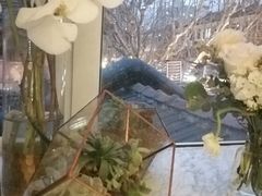 -蝶舍·MAISON PAPILLON