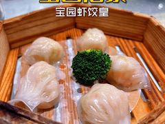 宝园虾饺皇-宝园酒家(美林M·LIVE天地东座店)