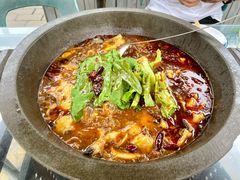 -都江堰石锅鱼