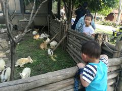 -鹅湖玫瑰文化园