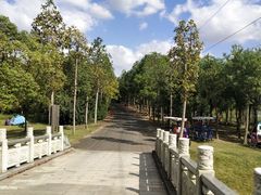 -上海海湾国家森林公园