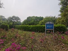 -南京科技馆