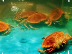 -海天盛宴海鲜自助(正大广场店)