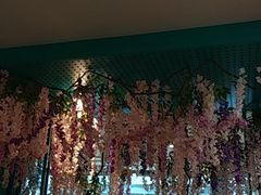 -青瓷火锅料理(西单大悦城店)