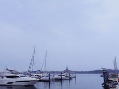 -渡海小渔村.老辈日照菜