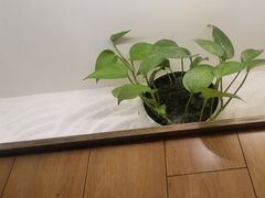 -常乐·对症推拿(解放碑英利大融城店)