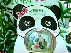 -成都大熊猫繁育研究基地