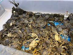 -集品鲜湾·蒸汽海鲜自助料理(青岛银座和谐广场店)