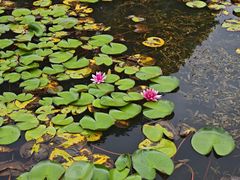 -白鹭湾湿地公园