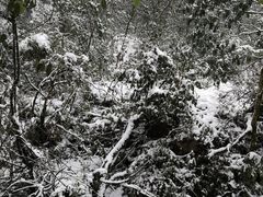 -西岭雪山大飞水景区