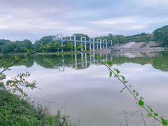 -东莞植物园