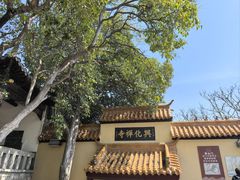 -云龙山