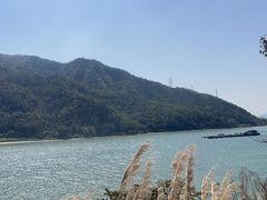 -羚羊峡古栈道森林公园