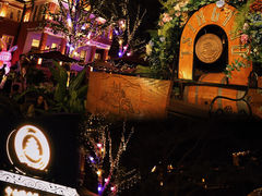 -中山路壹号传奇club·啤酒花园餐厅