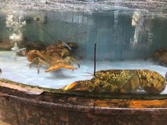 水产区-鹅公村·国家非遗传承(荔湾店)
