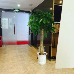 -深圳原色医疗美容