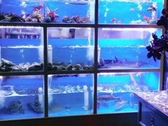 水产区-泮金大塘(北二七路店)